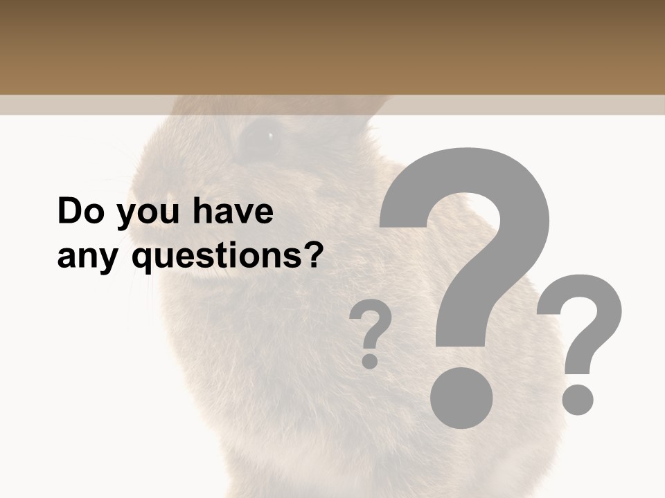 Fluffy Ear Cute PowerPoint Template