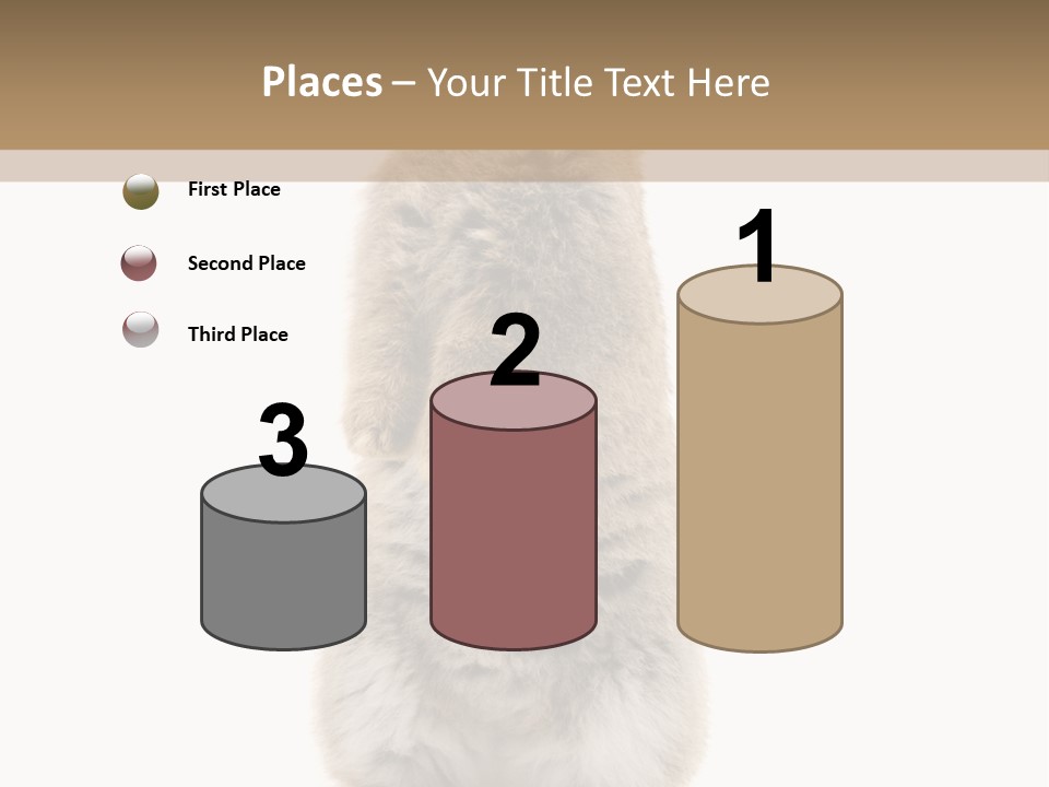 Furry Animal Fur PowerPoint Template