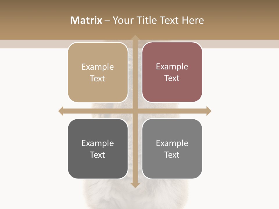 Furry Animal Fur PowerPoint Template