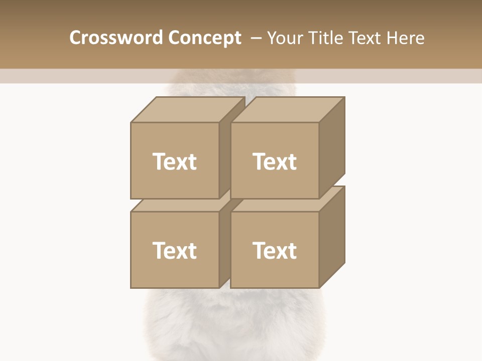 Furry Animal Fur PowerPoint Template