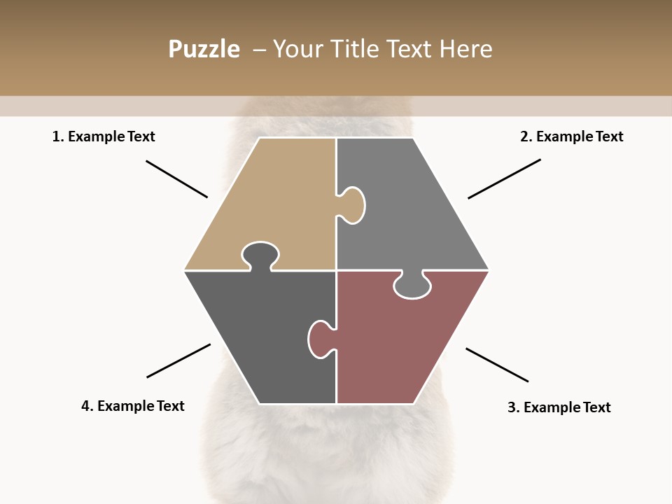 Furry Animal Fur PowerPoint Template