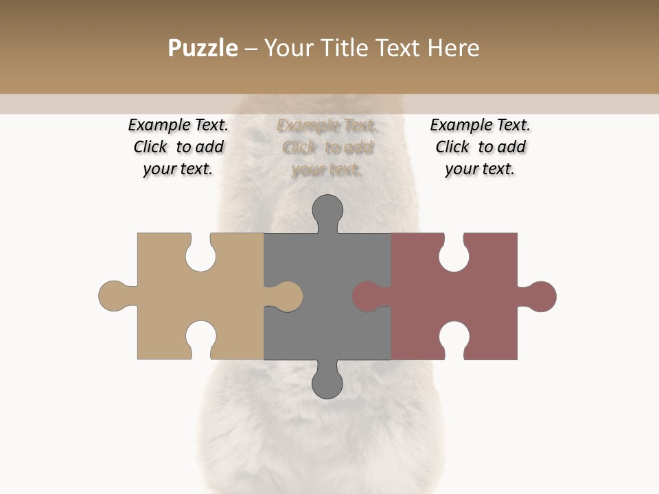 Furry Animal Fur PowerPoint Template