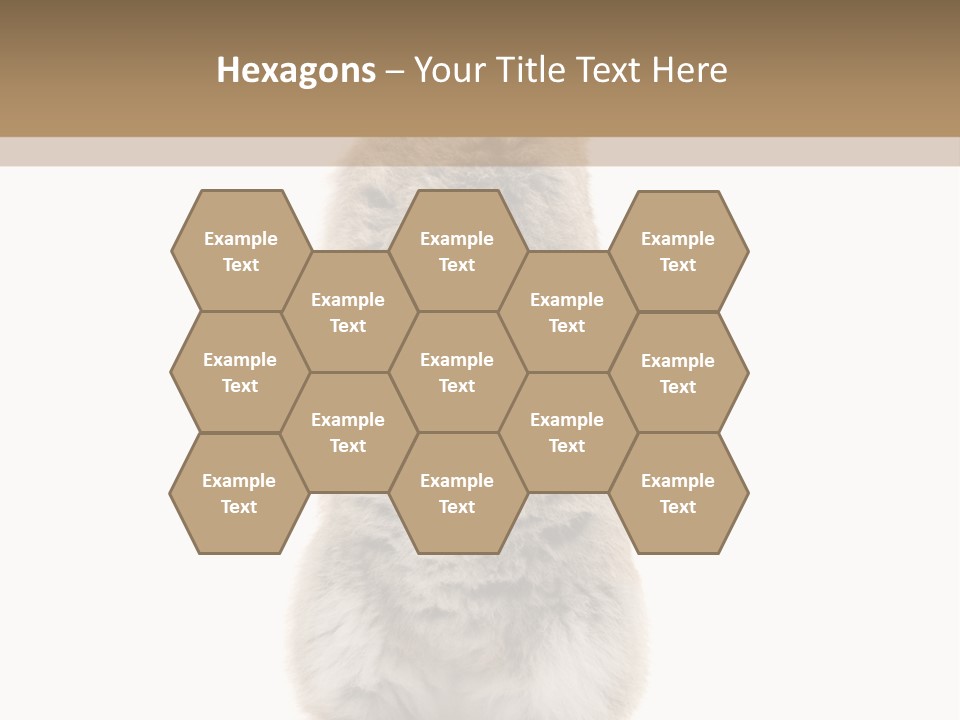 Furry Animal Fur PowerPoint Template