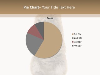 Furry Animal Fur PowerPoint Template