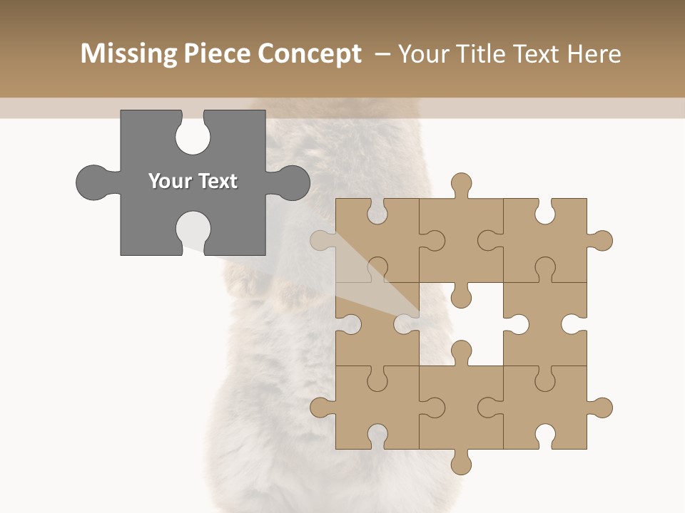 Furry Animal Fur PowerPoint Template