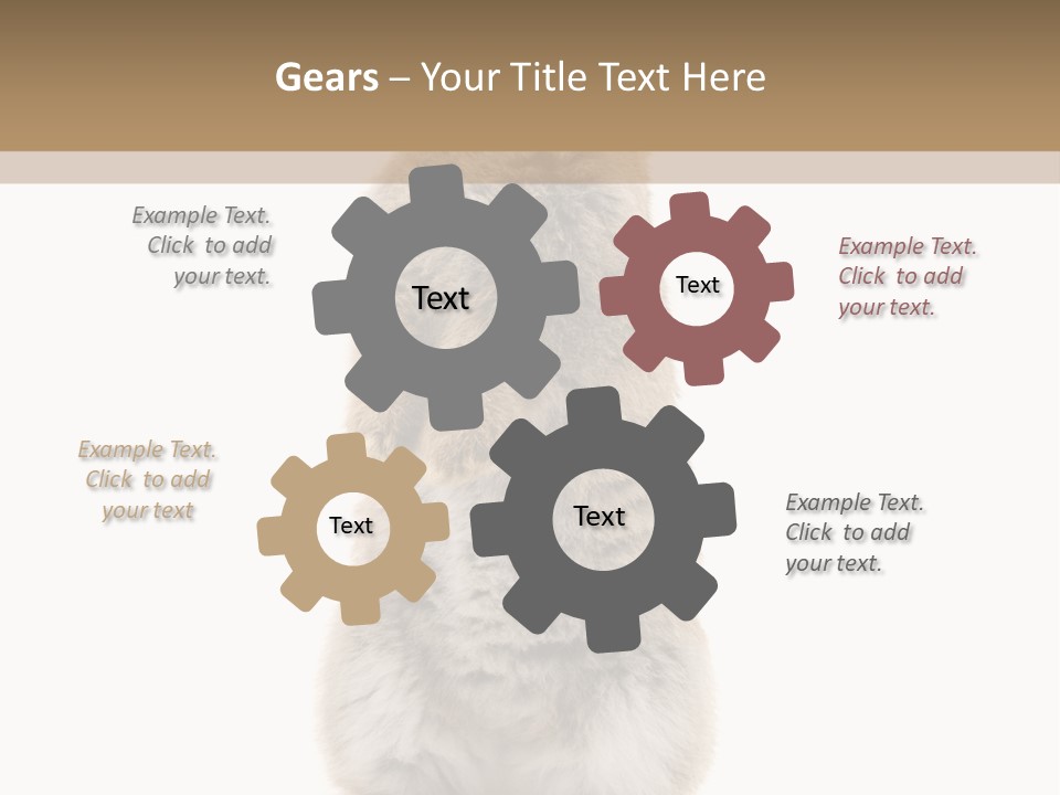 Furry Animal Fur PowerPoint Template
