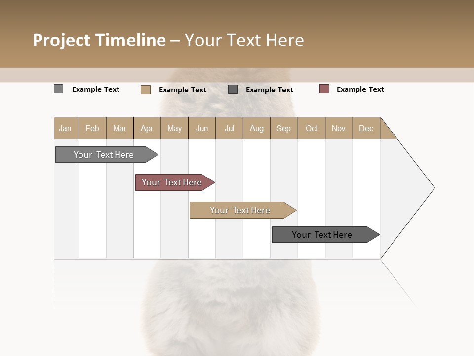Furry Animal Fur PowerPoint Template