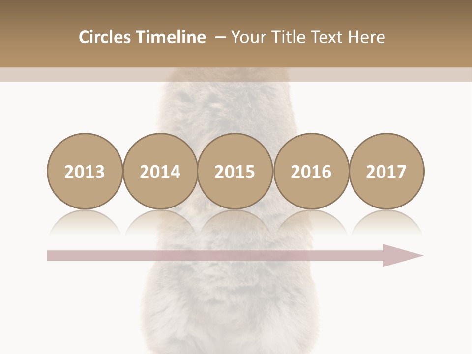 Furry Animal Fur PowerPoint Template