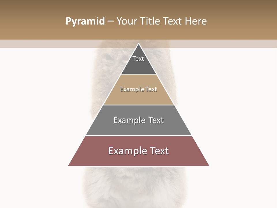 Furry Animal Fur PowerPoint Template