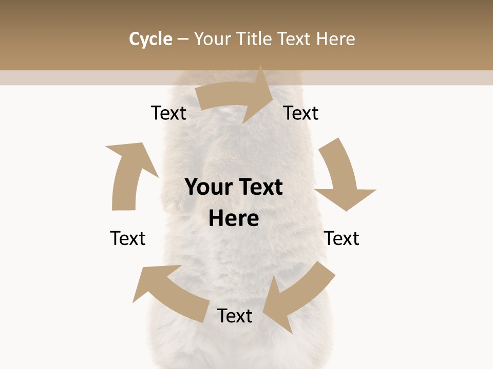 Furry Animal Fur PowerPoint Template
