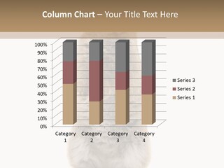 Furry Animal Fur PowerPoint Template