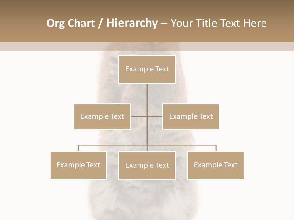 Furry Animal Fur PowerPoint Template