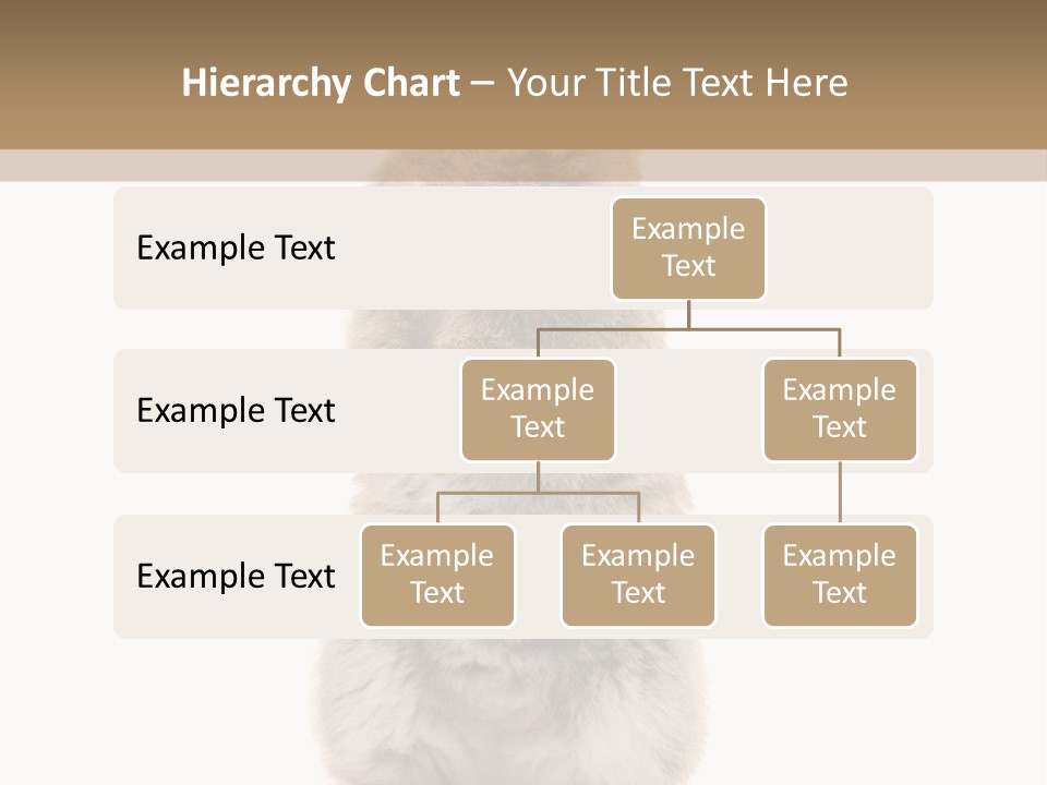 Furry Animal Fur PowerPoint Template