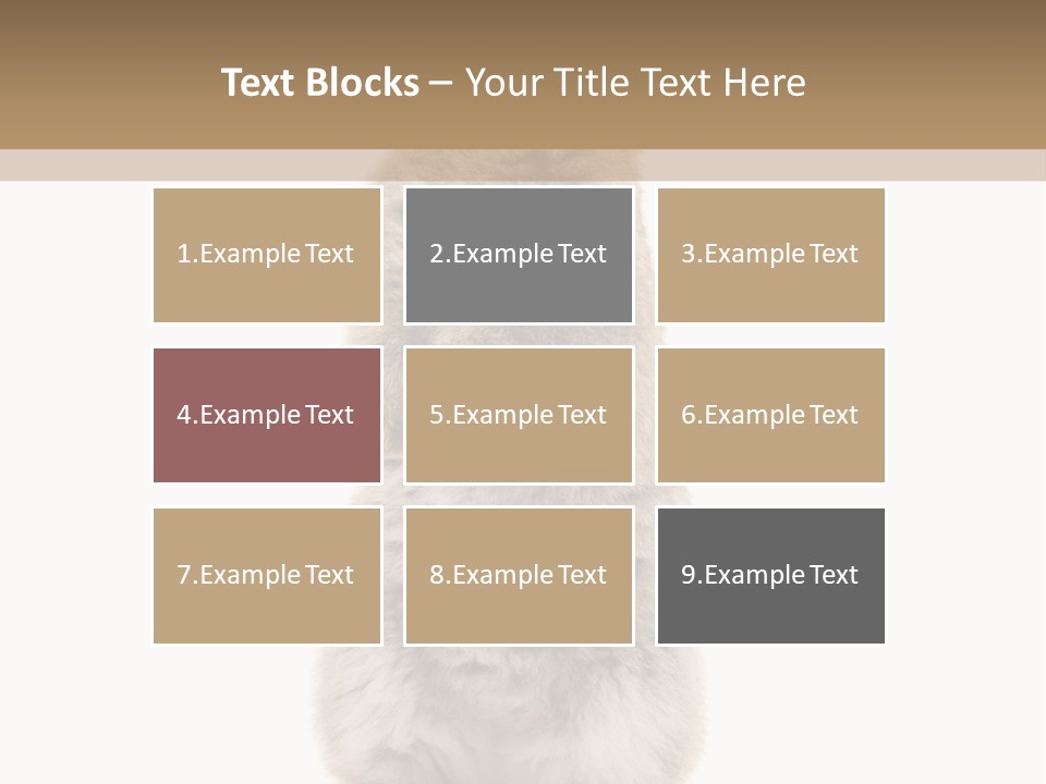 Furry Animal Fur PowerPoint Template