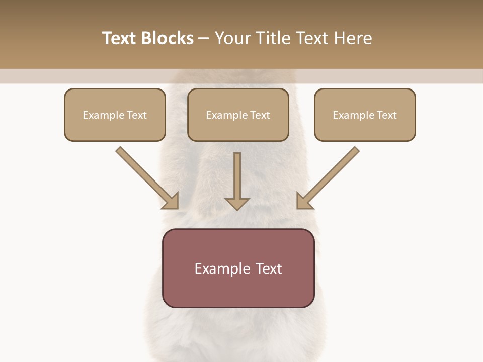 Furry Animal Fur PowerPoint Template