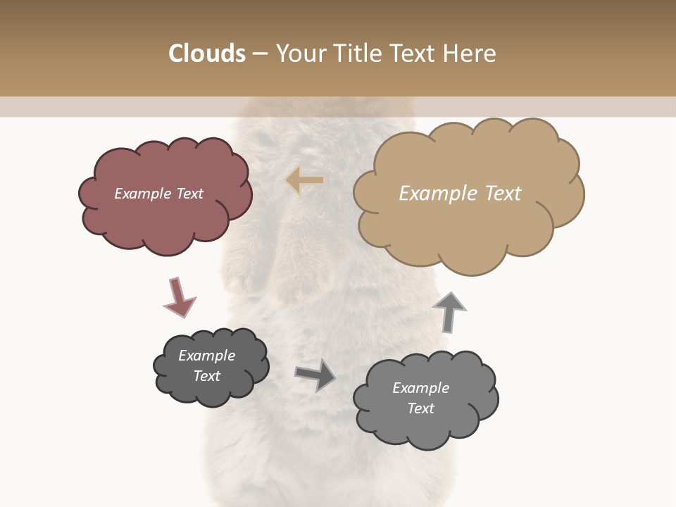 Furry Animal Fur PowerPoint Template