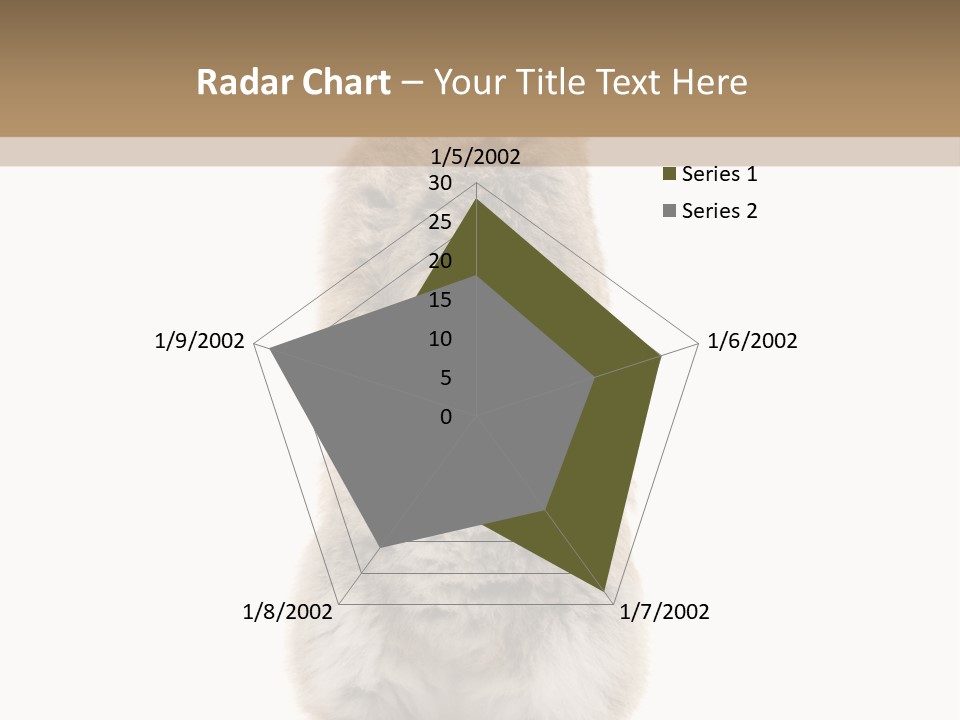 Furry Animal Fur PowerPoint Template