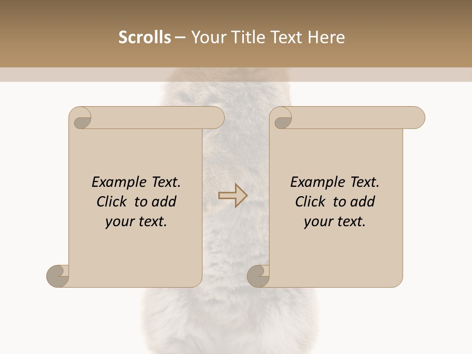 Furry Animal Fur PowerPoint Template