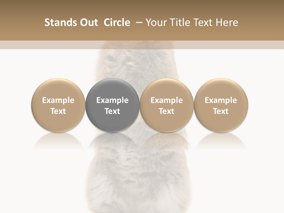 Furry Animal Fur PowerPoint Template