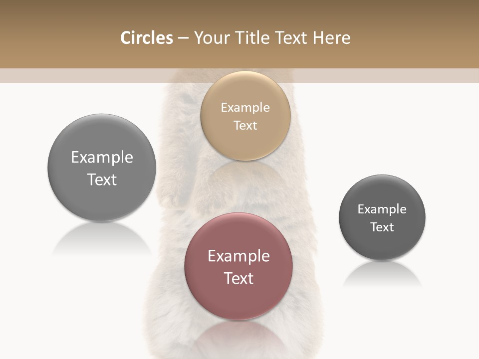 Furry Animal Fur PowerPoint Template