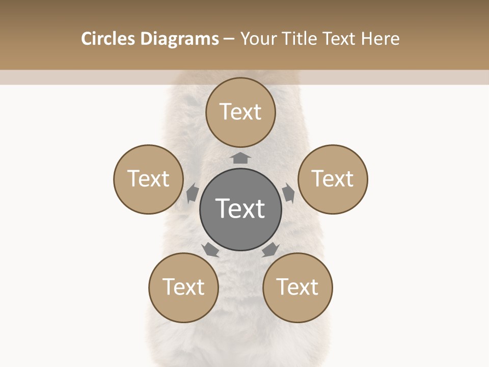 Furry Animal Fur PowerPoint Template