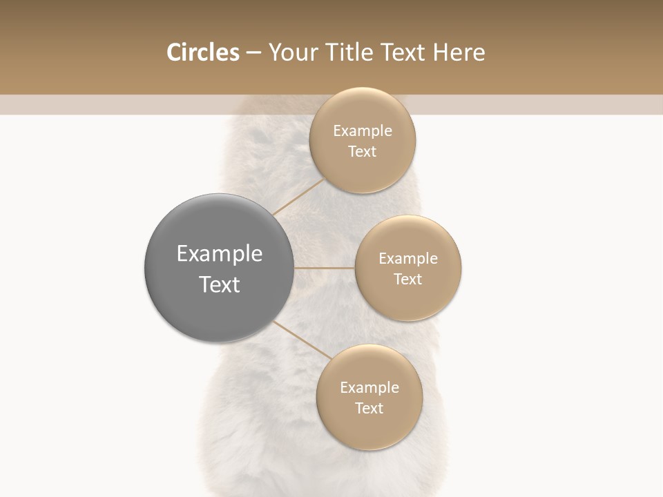 Furry Animal Fur PowerPoint Template