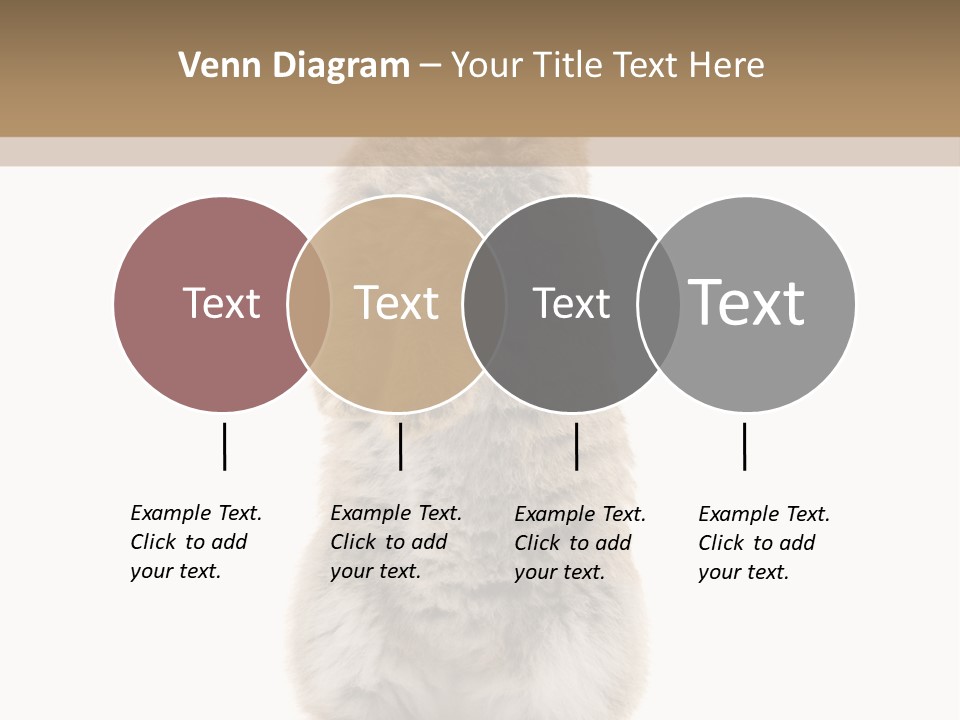 Furry Animal Fur PowerPoint Template
