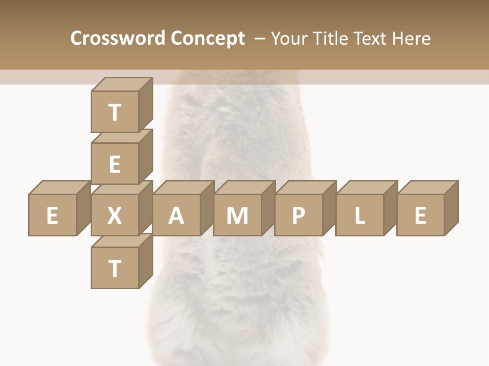 Furry Animal Fur PowerPoint Template