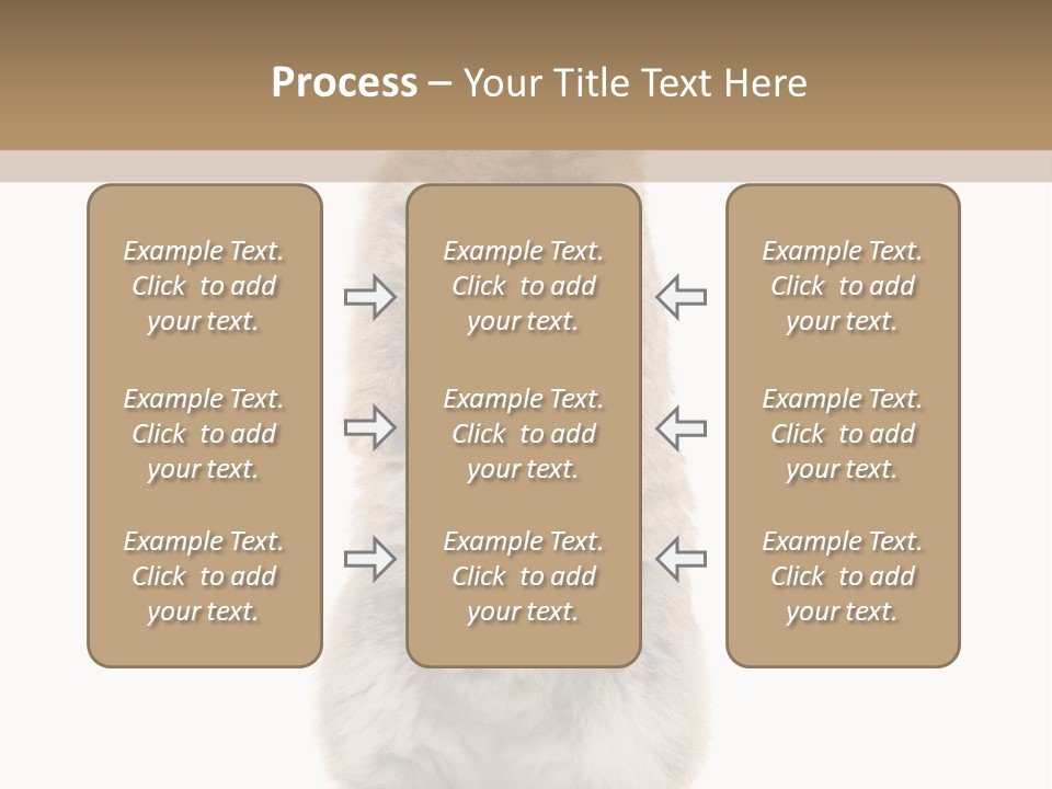 Furry Animal Fur PowerPoint Template