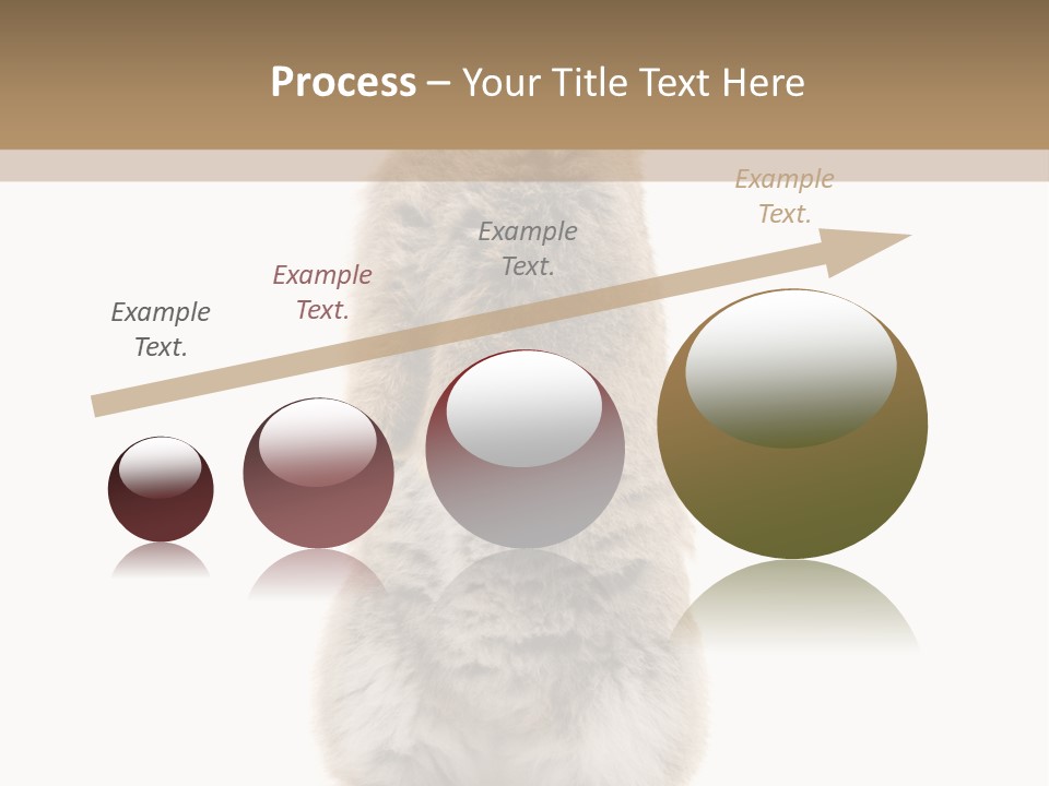 Furry Animal Fur PowerPoint Template