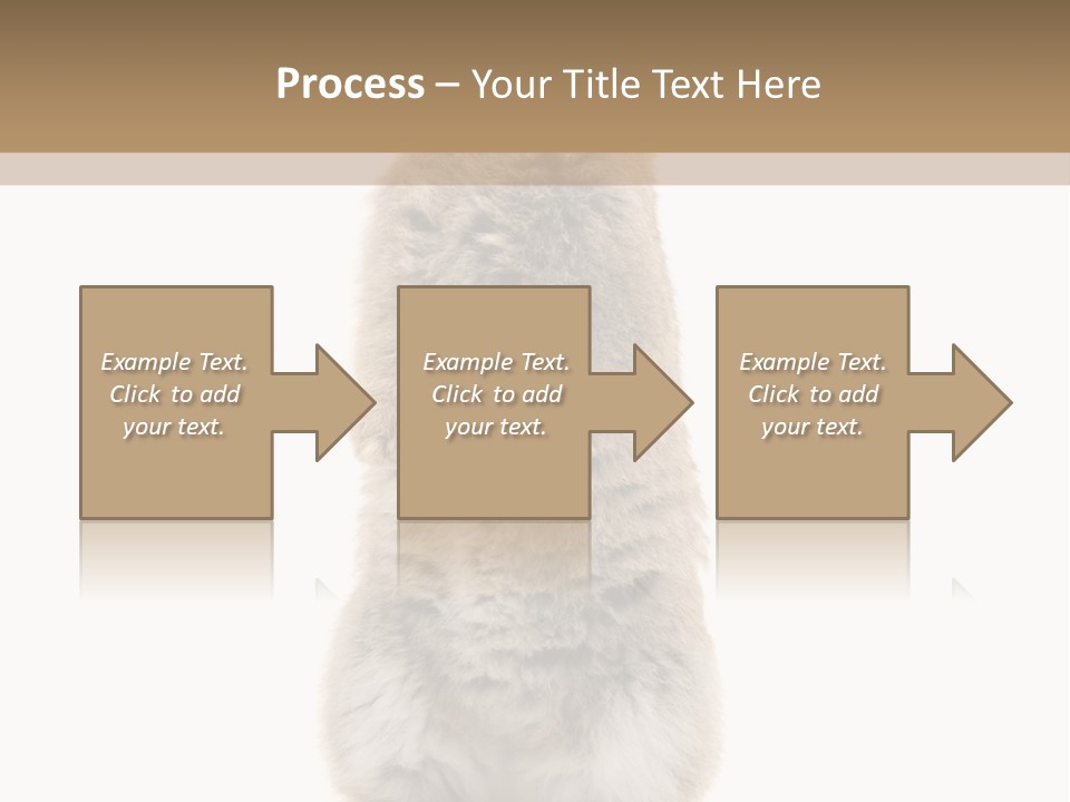 Furry Animal Fur PowerPoint Template