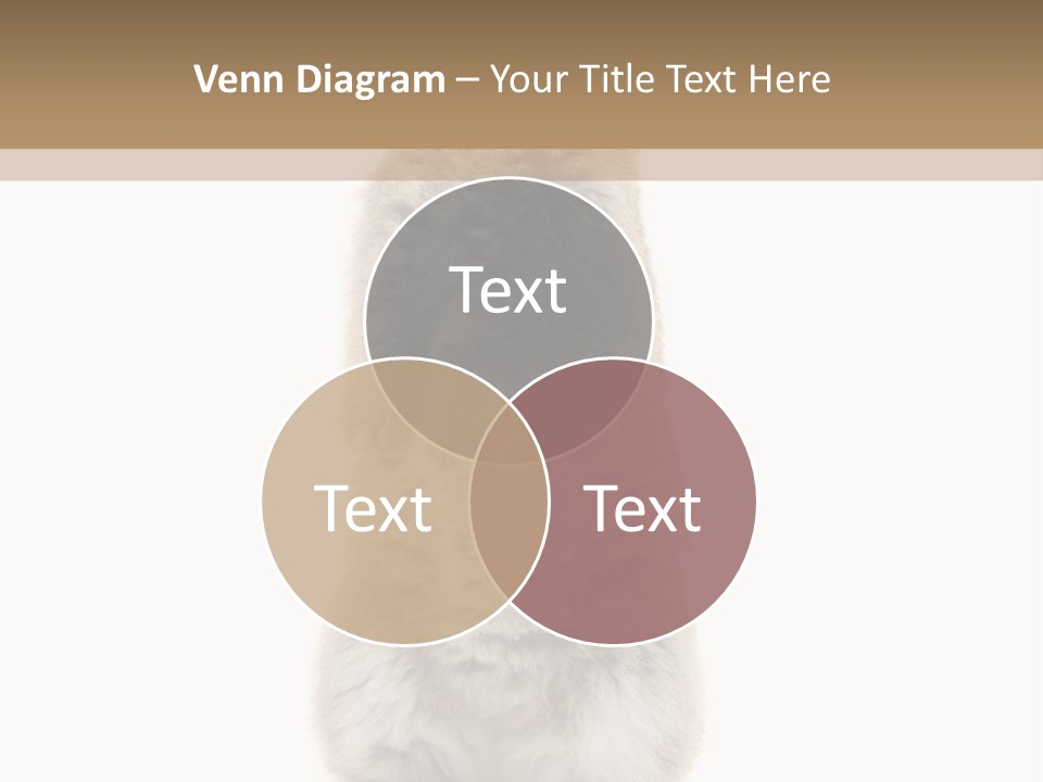 Furry Animal Fur PowerPoint Template