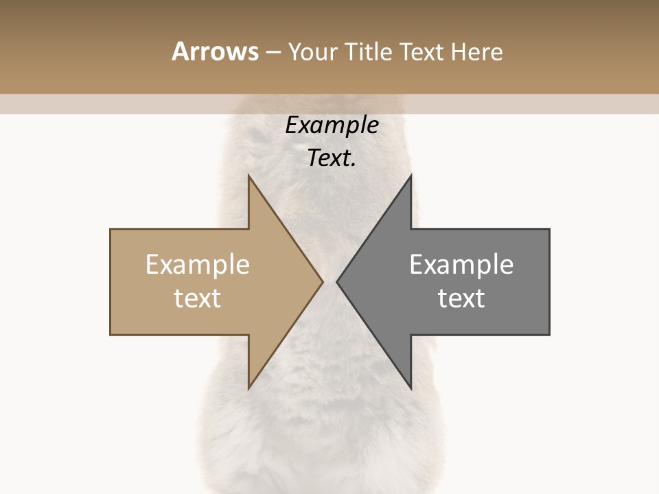 Furry Animal Fur PowerPoint Template