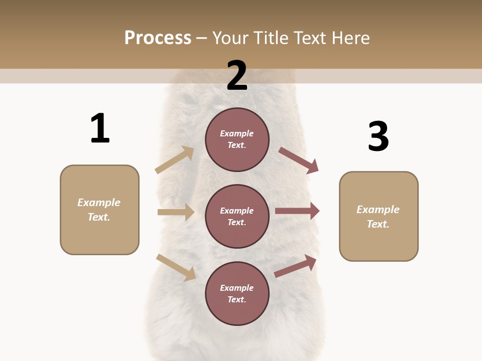 Furry Animal Fur PowerPoint Template