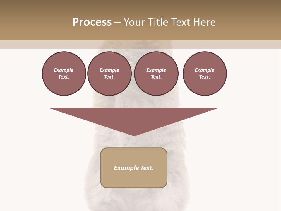 Furry Animal Fur PowerPoint Template