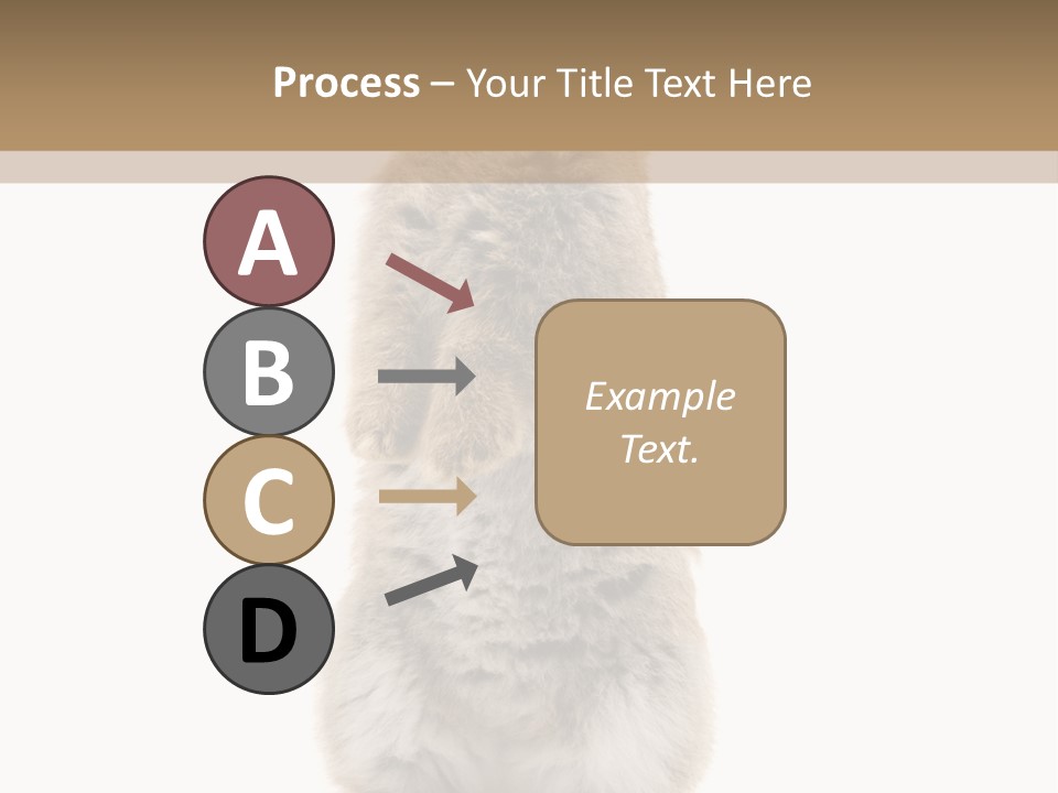 Furry Animal Fur PowerPoint Template