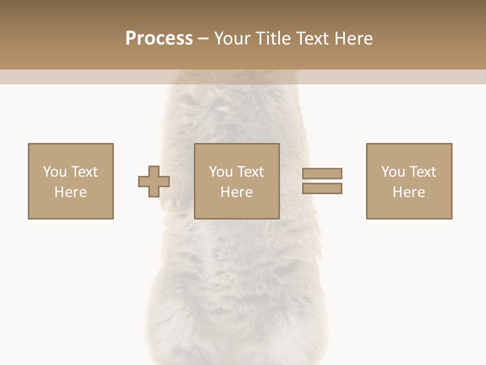 Furry Animal Fur PowerPoint Template
