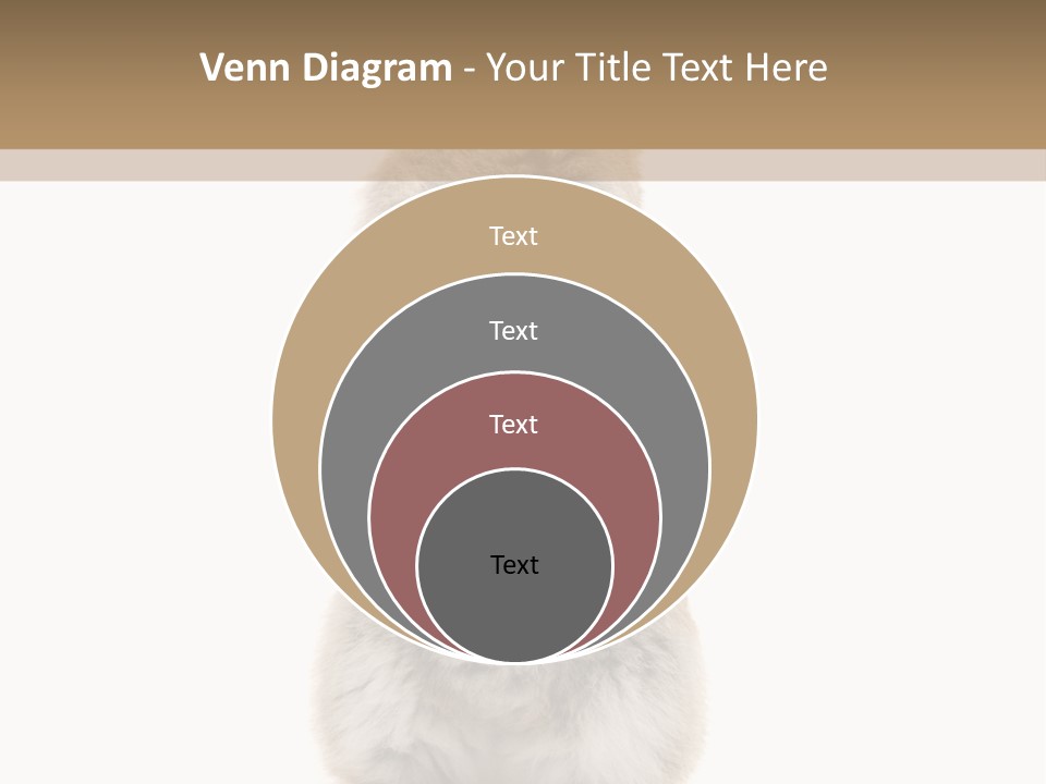 Furry Animal Fur PowerPoint Template