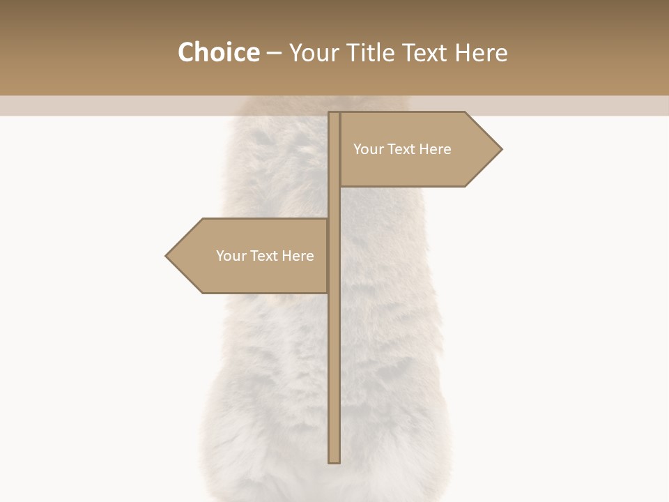 Furry Animal Fur PowerPoint Template