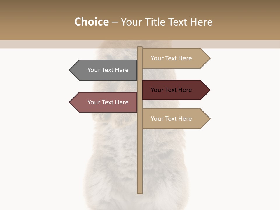 Furry Animal Fur PowerPoint Template
