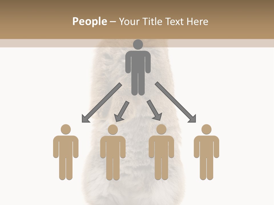 Furry Animal Fur PowerPoint Template