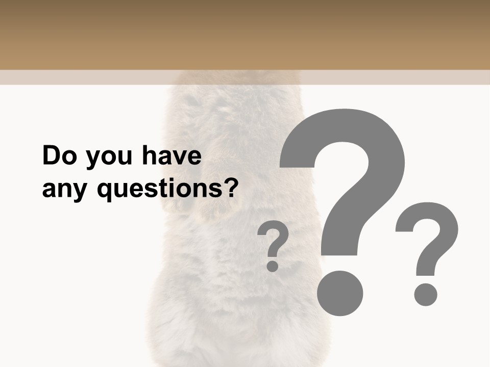 Furry Animal Fur PowerPoint Template