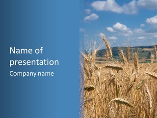 Hill Harvest Grass PowerPoint Template