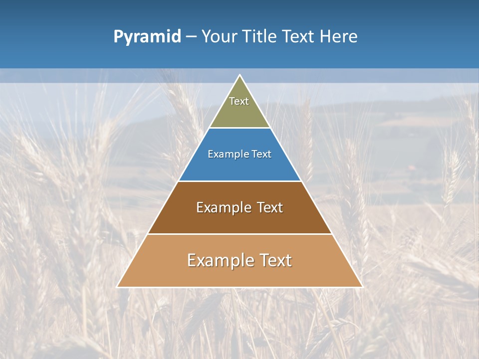Hill Harvest Grass PowerPoint Template
