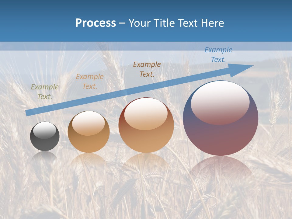 Hill Harvest Grass PowerPoint Template