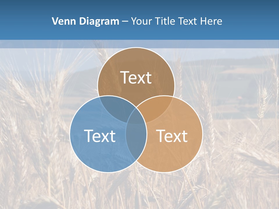 Hill Harvest Grass PowerPoint Template