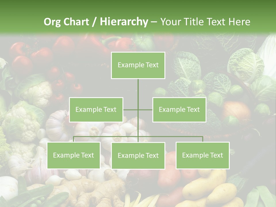 Aubergine Cauliflower Nutrition PowerPoint Template