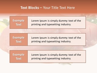 Chicken Macro Rosemary PowerPoint Template