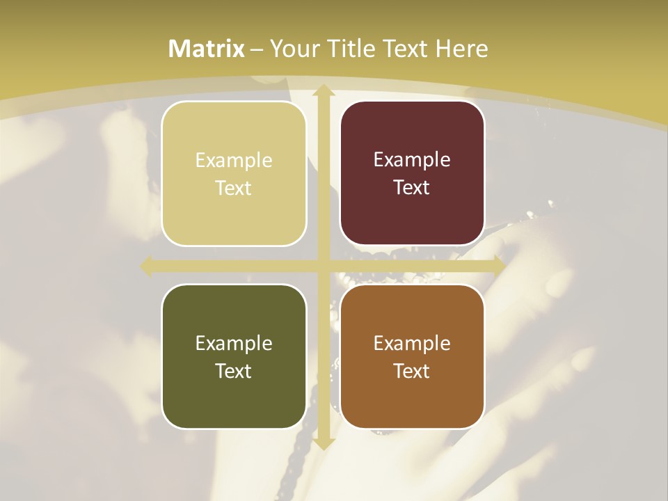 Glamour Net Portrait PowerPoint Template