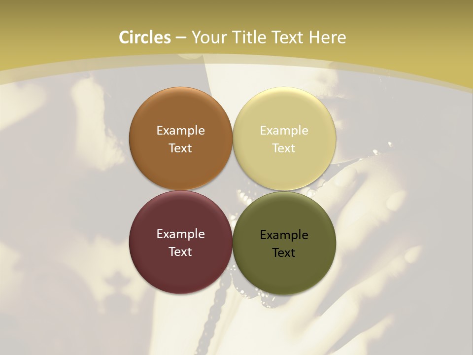 Glamour Net Portrait PowerPoint Template